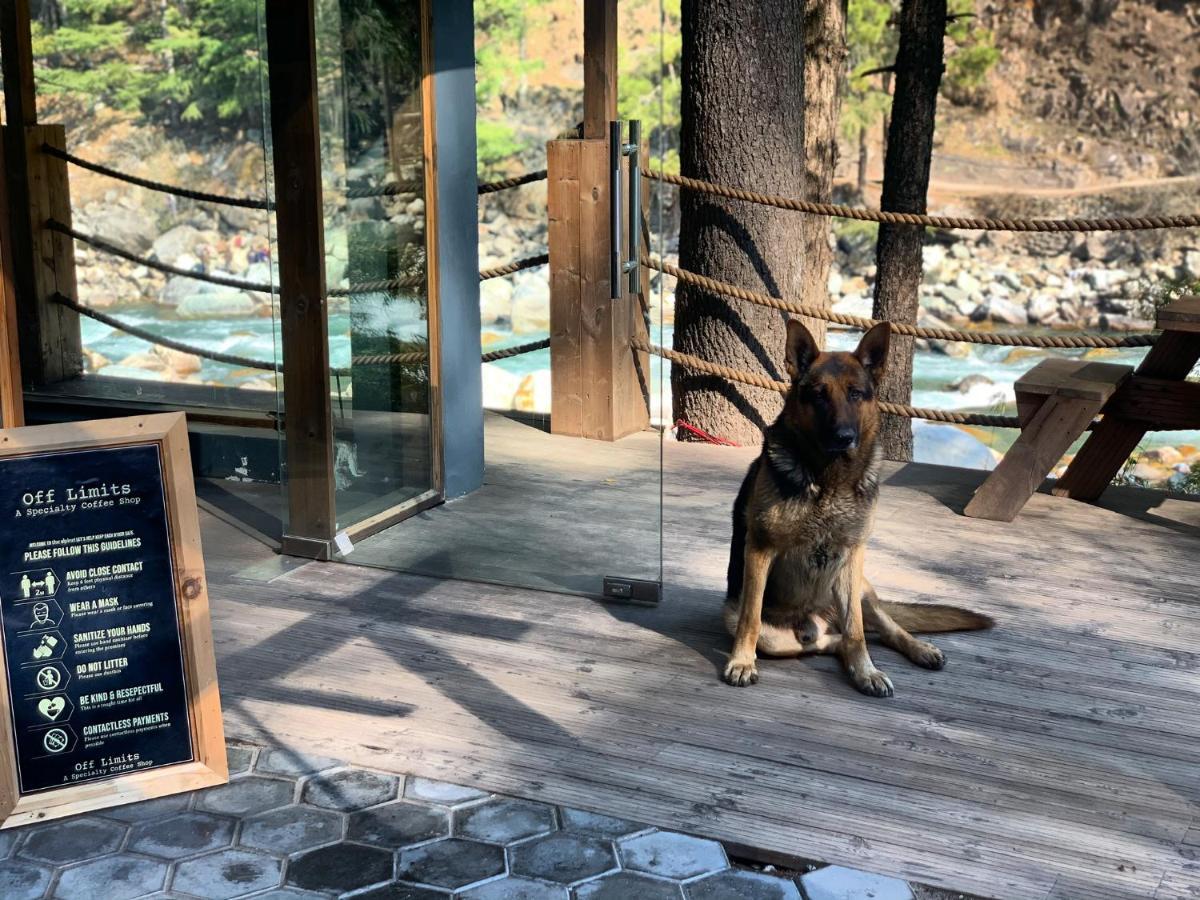 The Alpine Guest House Kasol Exterior foto